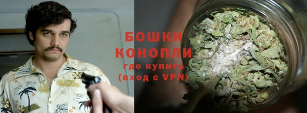 spice Няндома