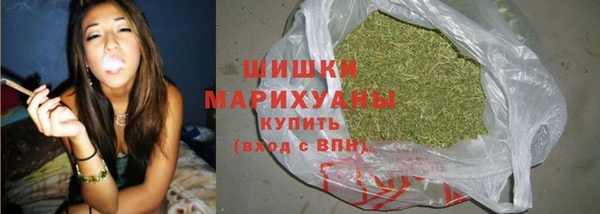 шишки Нязепетровск