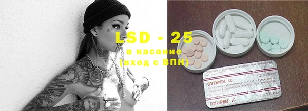 гашик Осинники