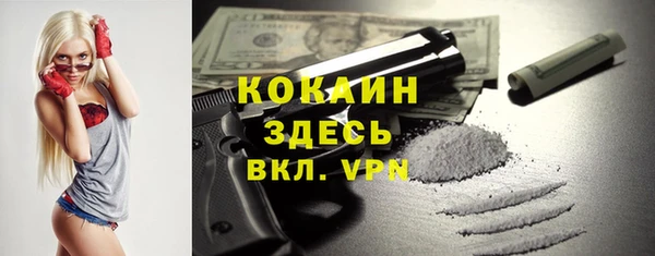 прущие грибы Нягань