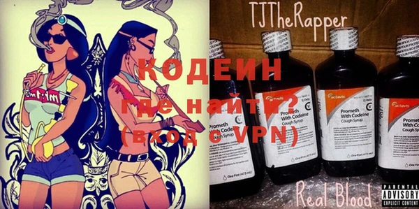 ешки Вяземский