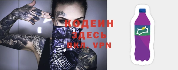 гашик Осинники