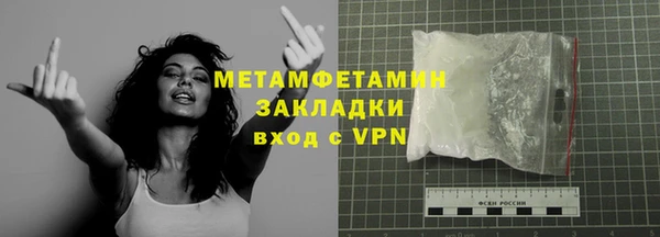 прущие грибы Нягань