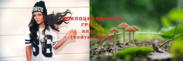 spice Няндома