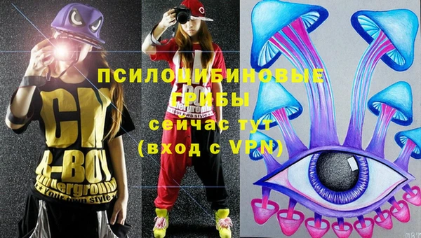 прущий лед Осташков