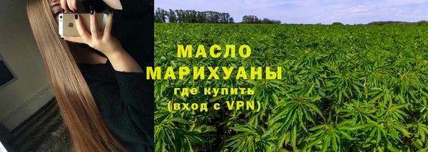 гашик Осинники