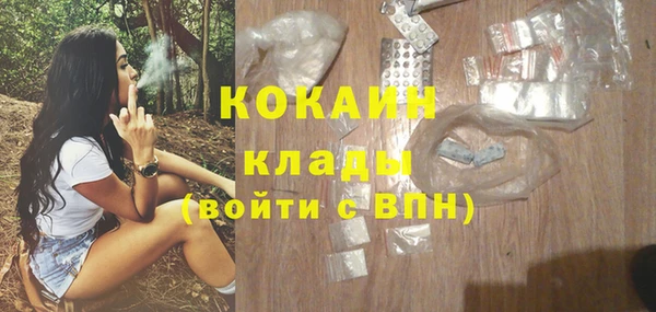 прущие грибы Нягань