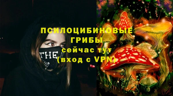 PSILOCYBIN Горняк