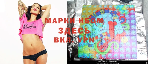 прущие грибы Нягань