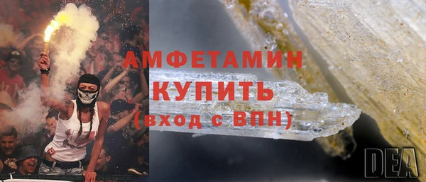 гашик Осинники