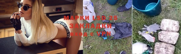 шишки Нязепетровск